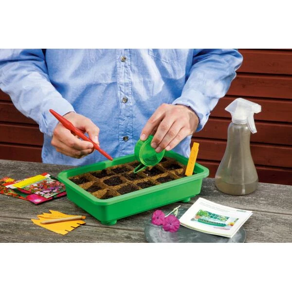 Opkweek Kit Romberg 2 Opkweek Kit Romberg - Afbeelding 2