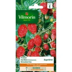 Aardbei 4 Seizoenen Suprème