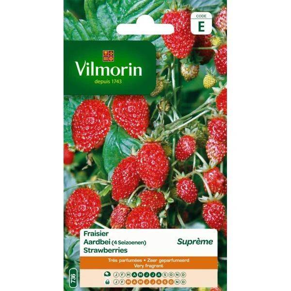 Aardbei 4 Seizoenen Suprème 1 Aardbei 4 Seizoenen Suprème