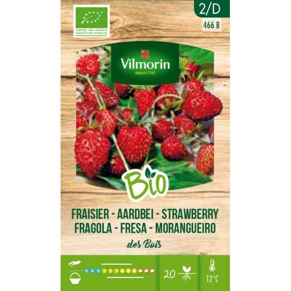 Aardbei Des Bois BIO 1 Aardbei Des Bois BIO