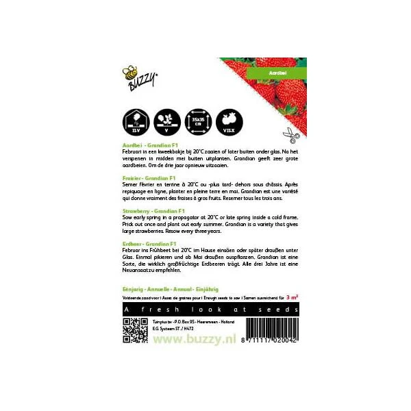 Aardbeien Grandian F1 - Fragaria × Ananassa 2 Aardbeien Grandian F1 - Fragaria × Ananassa - Afbeelding 2