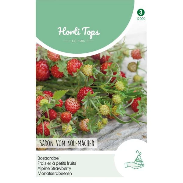 Bosaardbei Baron Von Solemacher - Fragaria Vesca 1 Bosaardbei Baron Von Solemacher - Fragaria Vesca