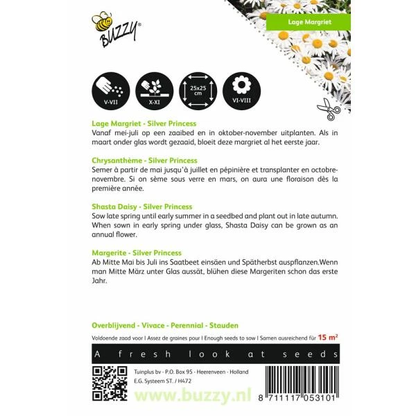 Chrysanthemum Maximum Nanum Silver Princess 2 Chrysanthemum Maximum Nanum Silver Princess - Afbeelding 2