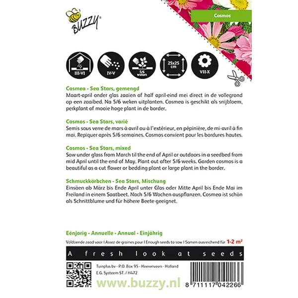 Cosmea - Cosmos Sea Stars Gemengd 2 Cosmea - Cosmos Sea Stars Gemengd - Afbeelding 2