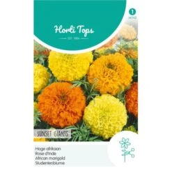 Hoge Afrikaan Sunset Giants - Tagetes Erecta