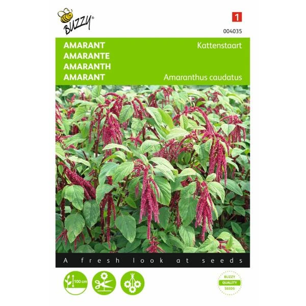 Kattenstaartamarant - Amaranthus Caudatus 1 Kattenstaartamarant - Amaranthus Caudatus