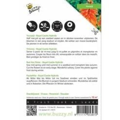 Exporteren Bloemen Zaden Winkel -Exporteren Bloemen Zaden Winkel kniphofia uvaria royal castle hybrids 1646840336 548 600