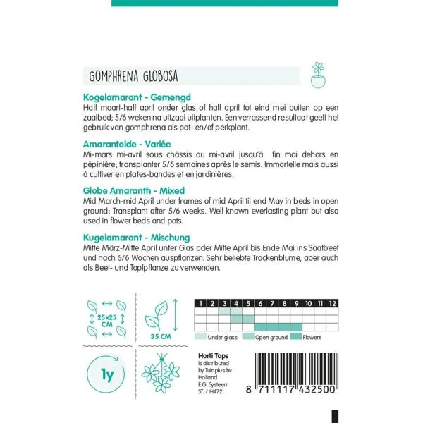 Kogelamarant - Gomphrena Globosa 2 Kogelamarant - Gomphrena Globosa - Afbeelding 2