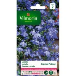 Lobelia Crystal Palace - Lobelia Erinus