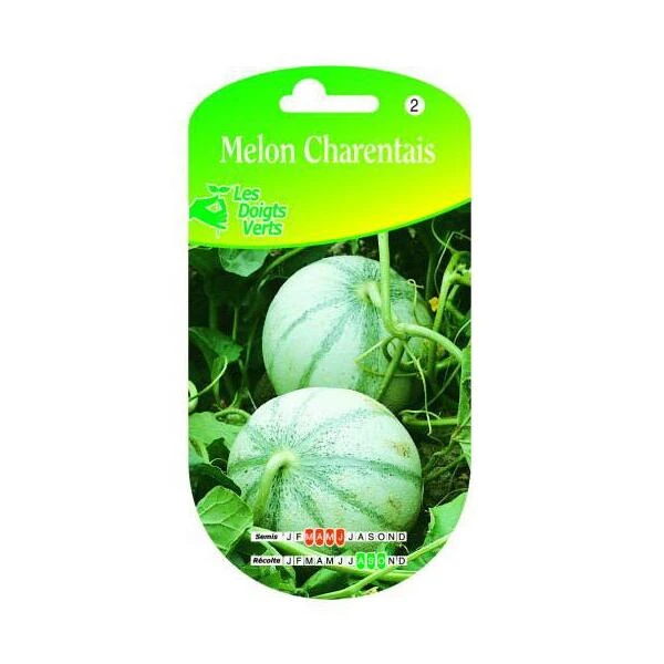 Meloen Charentais 1 Meloen Charentais