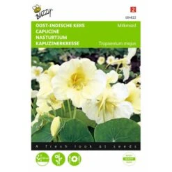 Oost Indische Kers Milkmaid