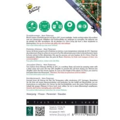 Exporteren Bloemen Zaden Winkel -Exporteren Bloemen Zaden Winkel oranjeboompje solanum pseudocapsicum 1646840377 1425 600