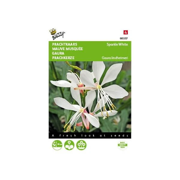 Prachtkaars - Gaura Sparkle White 1 Prachtkaars - Gaura Sparkle White