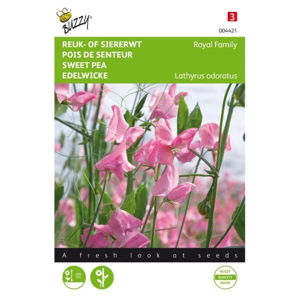 Reukerwt Royal Family Roze - Lathyrus Odoratus 1 Reukerwt Royal Family Roze - Lathyrus Odoratus