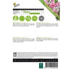 Reukerwt Royal Family Roze - Lathyrus Odoratus 3 Reukerwt Royal Family Roze - Lathyrus Odoratus -Exporteren Bloemen Zaden Winkel reukerwt royal family roze lathyrus odoratus 1646840329 390 600