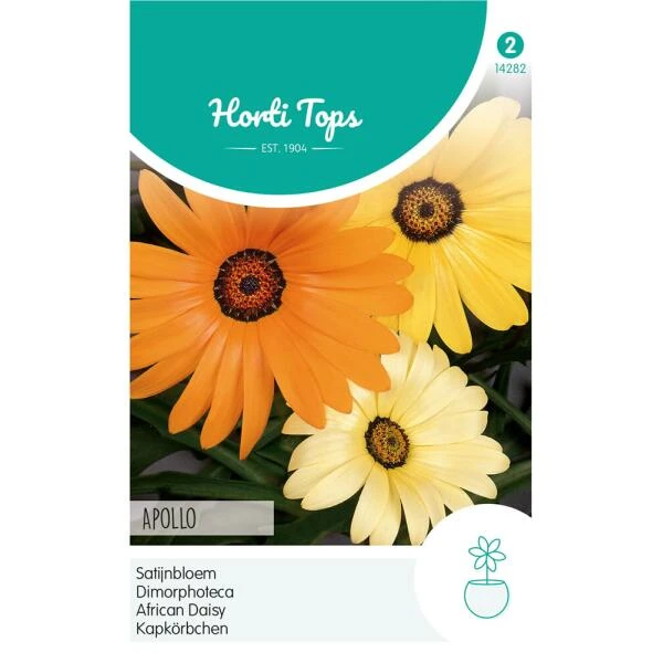 Satijnbloem Apollo - Dimorphoteca Sinnata 1 Satijnbloem Apollo - Dimorphoteca Sinnata