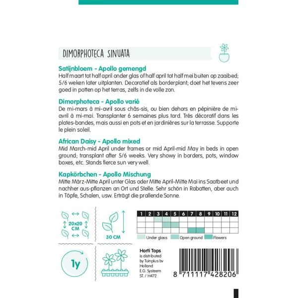 Satijnbloem Apollo - Dimorphoteca Sinnata 2 Satijnbloem Apollo - Dimorphoteca Sinnata - Afbeelding 2