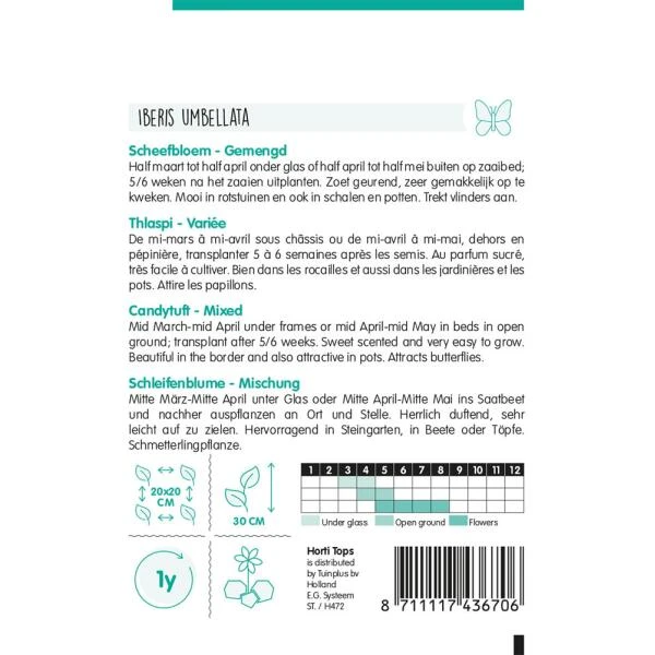 Scheefbloem Mix - Iberis Umbellata 2 Scheefbloem Mix - Iberis Umbellata - Afbeelding 2