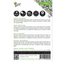 Sneeuwtapijt - Alyssum Marit. Procumbens -Exporteren Bloemen Zaden Winkel sneeuwtapijt alyssum marit procumbens 1646840324 290 600