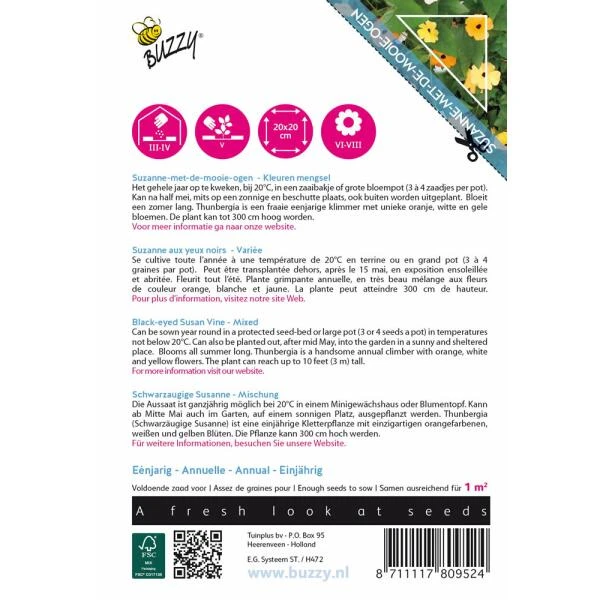 Suzanne Met De Mooie Ogen - Thunbergia Alata (klimmer) 2 Suzanne Met De Mooie Ogen - Thunbergia Alata (klimmer) - Afbeelding 2