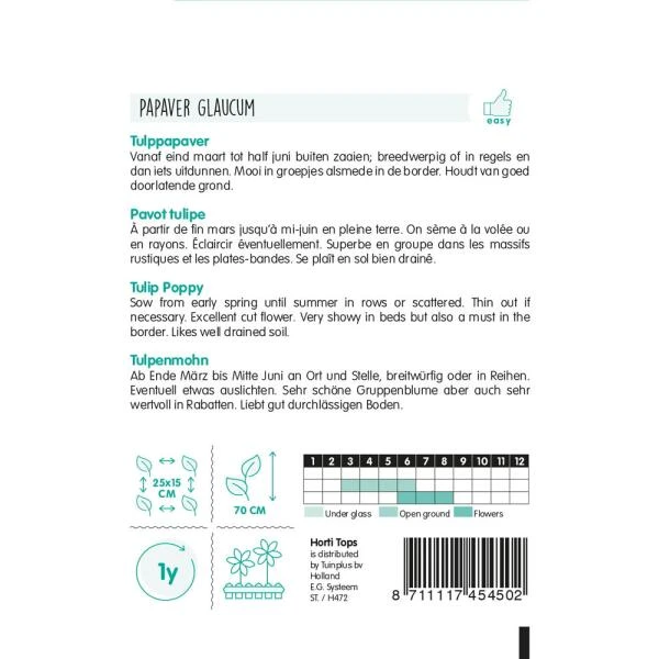Tulppapaver - Papaver Glauca 2 Tulppapaver - Papaver Glauca - Afbeelding 2