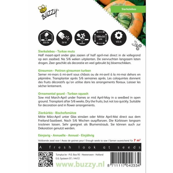 Turkse Muts - Cucurbita Maxima Turbaniformis 2 Turkse Muts - Cucurbita Maxima Turbaniformis - Afbeelding 2