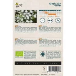 Exporteren Bloemen Zaden Winkel -Exporteren Bloemen Zaden Winkel witte dille ammi majus bio 1646840381 1495 600