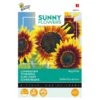 Zonnebloem Ring Of Fire - Helianthus Annuus (Sunflowers)