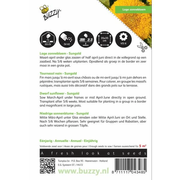 Zonnebloem Sungold - Helianthus Annuus 2 Zonnebloem Sungold - Helianthus Annuus - Afbeelding 2