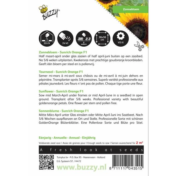 Zonnebloem Sunrich Orange F1 2 Zonnebloem Sunrich Orange F1 - Afbeelding 2