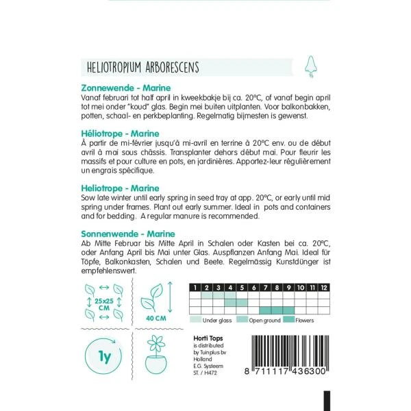 Zonnewende Marine - Heliotropium Peruvianum 2 Zonnewende Marine - Heliotropium Peruvianum - Afbeelding 2